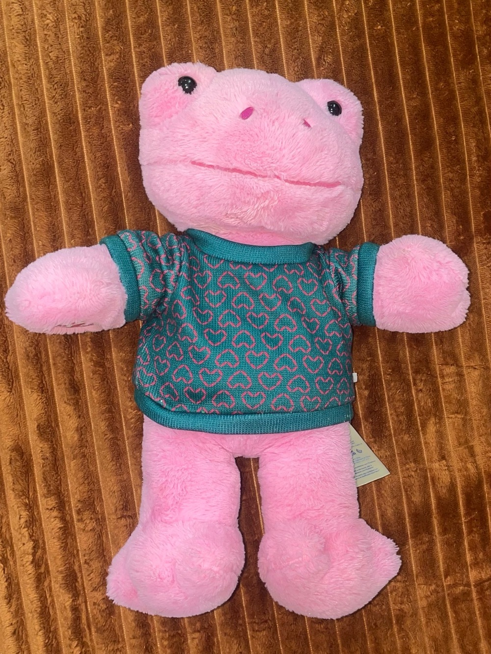 Build-A-Bear Pink Frog Plush in Teal Heart Sweater